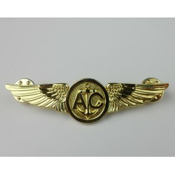 US Navy Aircrew wings