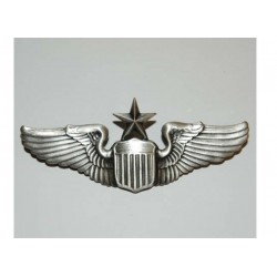 Air Force pilot wings