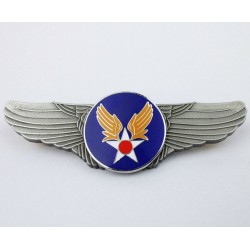 US Air Forces wings