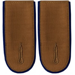 LW medical shoulder boards. Blue piping.