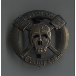 Sturm Truppen bronze badge