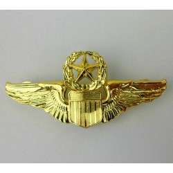 Air Force pilot wings