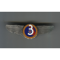 USAF WW2 wings badge pin 3rd air force