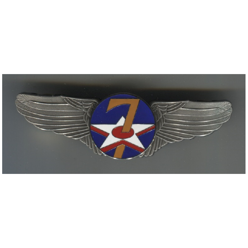 USAF 7th wings badge pin