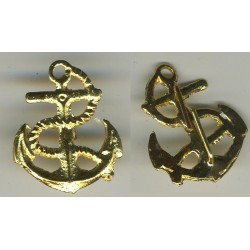 Pair of badges for insignias