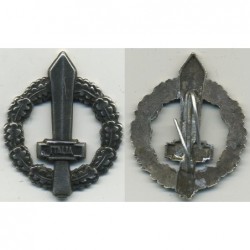 Badges for insignias of PNF coat