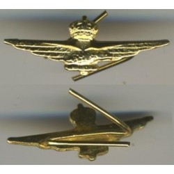 Gear for aviation medals