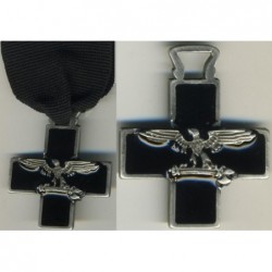 Veteran Cross 29th Division