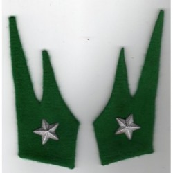 Alpini