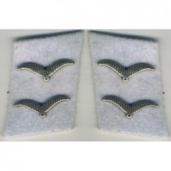 collar tabs Acting Corporal Division Hermann Gring