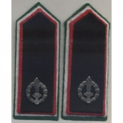 Insignias of the volunteers of the mutilated battalion