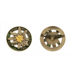  green enamel. Dimensions 31x31 mm. Silvered and antiqued finish with golden details