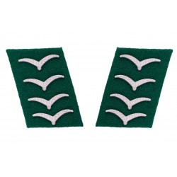 Articolo gmos127