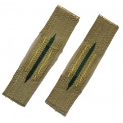Collar tabs gmos141