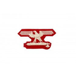 Italian SS badge