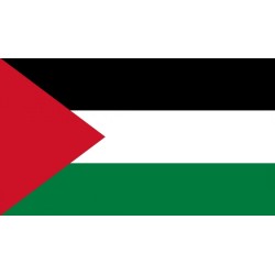 Palestine 5x3 ft