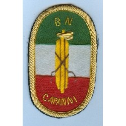 Brigade noire Arturo Capanni