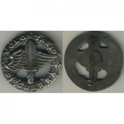 Volontari di guerra della A.N.V.G.  Associazione Nazionale Volontari di Guerra  in RSI