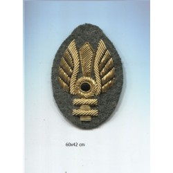 Ufficiale paracadutista RSI