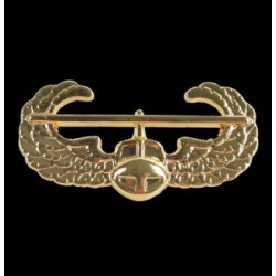 Air Assault Wings