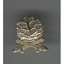 Gold Oak Leaves with Swords...