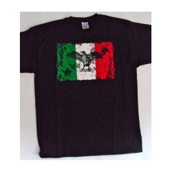 copy of Tshirt itts02