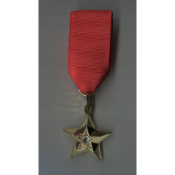 Marshal's Gold Star of USSR