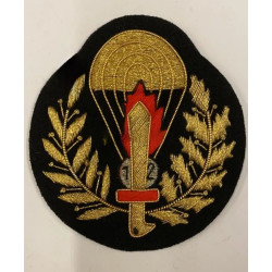 ANR Paratrooper Officer