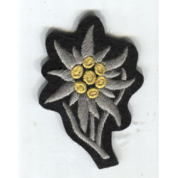 Edelweiss for SS EM/NCO