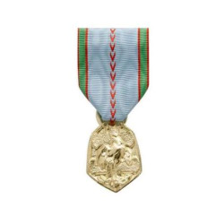 1939-1945 Commemorative Medal