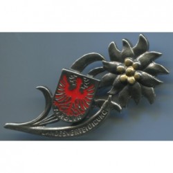 Distintivo edelweiss con scritta Landesverteidigung difesa territoriale