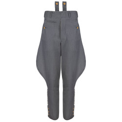WH/SS officer gray breeches