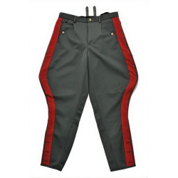 General Field Gray Breeches