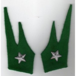 Alpini