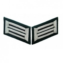 Heer officer of pioneers collar tabs. Dark green background