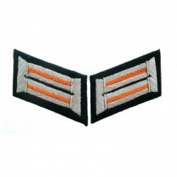 Heer officer collar tabs. Dark green background