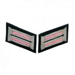 Heer armured troops officer collar tabs. Dark green background